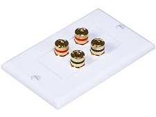 Double speaker wall plate