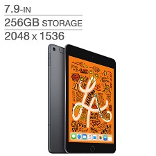 Apple iPad Mini 5 7.9'' 256Go A12  Wi-Fi Noir/Gris MUU32VC/A 
